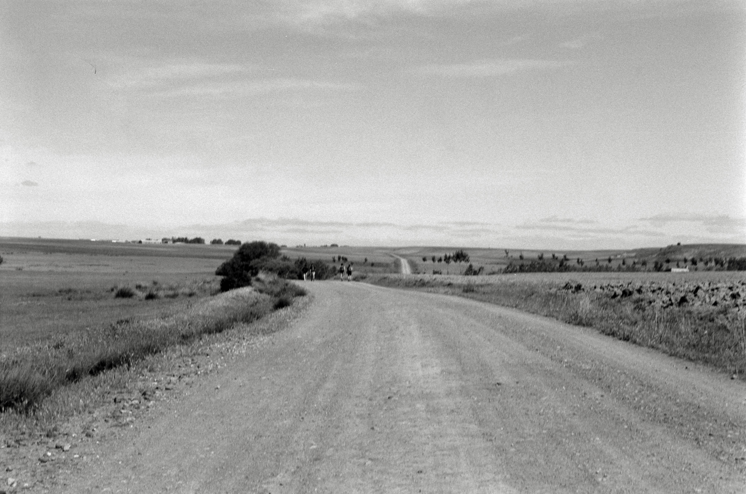 AHP F1995 05 009 sc240826 img10 NLP